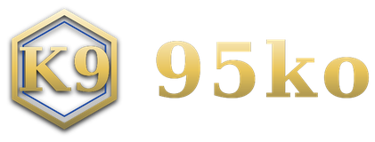 95ko logo